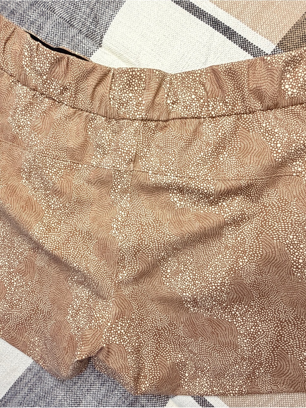 Women's Brown Dot Club Shorts - Picture 6 of 7